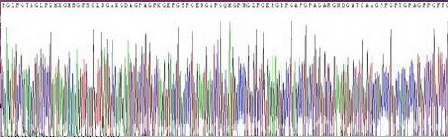 Gene Sequencing (extract)
