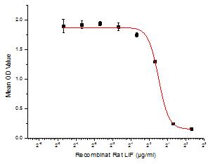 Proliferative inhibition of K562 cells after stimulated with LIF.