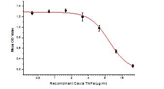 Inhibition of Hepa1-6 cells proliferation after stimulated with TNFα.