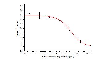 Inhibition of A549 cells proliferation after stimulated with TNFα.
