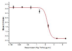 Inhibition of A549 cells proliferation after stimulated with TNFα.