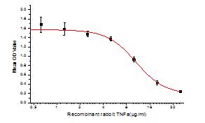 Inhibition of A549 cells proliferation after stimulated with TNFα.