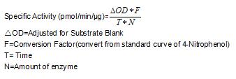 One unit of enzyme activity is defined as the 1μg of enzyme required to convert 1pmol of 4-Nitrophenyl acetate to 4-Nitrophenol in 1min at 37°C. The specific activity of recombinant mouse CES3 is 900 pmol/min/ug.