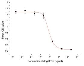 Cell apoptosis of A549 cells after stimulated with recombinant dog IFNb.