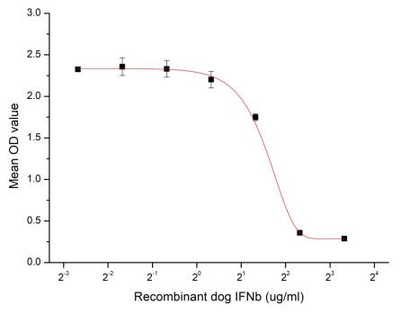 Cell apoptosis of A549 cells after stimulated with recombinant dog IFNb.