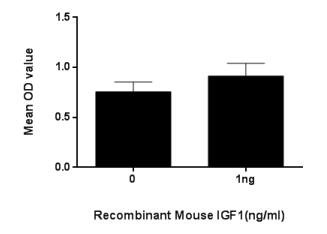 Cell proliferation of MCF-7 cells after stimulated with IGF1.