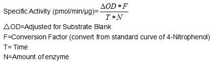 One unit of enzyme activity is defined as the 1 μg of enzyme required to convert 1 pmol of 4-Nitrophenyl acetate to 4-Nitrophenol in 1min at 37°C. The specific activity of recombinant human CA4 is > 15 pmol/min/ug.