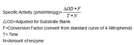One unit of enzyme activity is defined as the 1 μg of enzyme required to convert 1 pmol of 4-Nitrophenyl acetate to 4-Nitrophenol in 1min at 37°C. The specific activity of recombinant rat CA4 is > 200 pmol/min/ug.