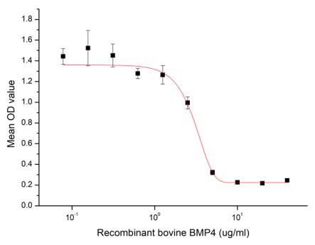 Inhibition of HepG2 cells proliferation after stimulated with recombinant bovine BMP4