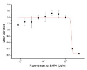Inhibition of HepG2 cells proliferation after stimulated with recombinant rat BMP4