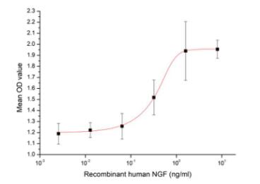 Cell proliferation of TF-1 cells after stimulated with recombinant human NGF.