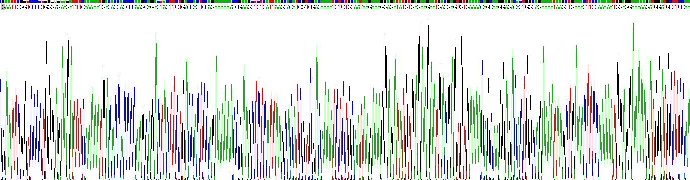 Gene Sequencing (extract)