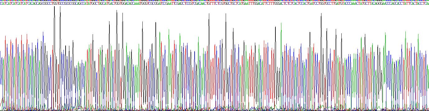 Gene Sequencing (extract)