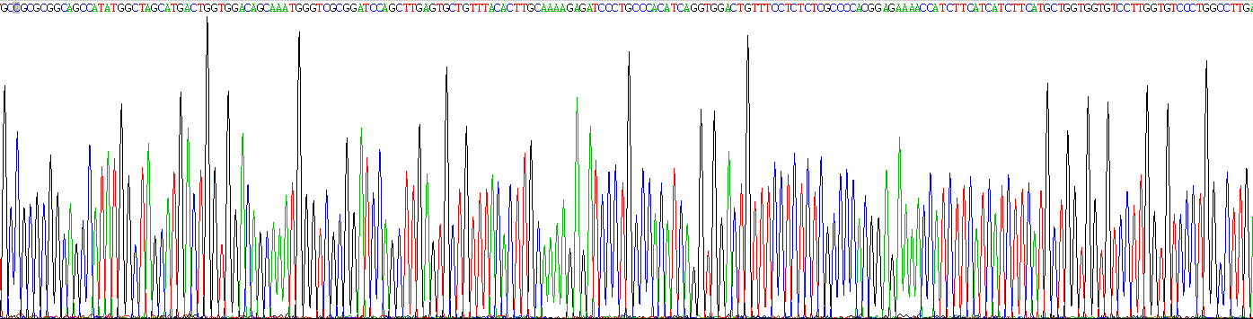 Gene Sequencing (extract)