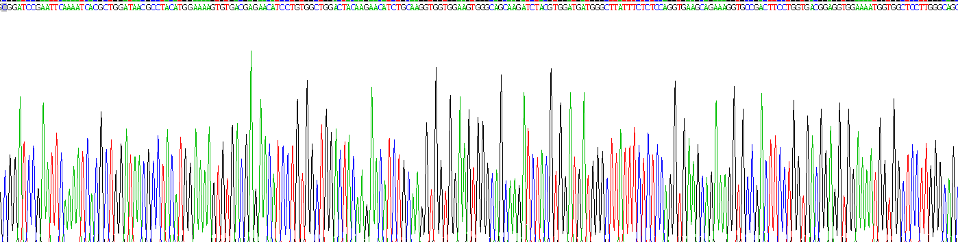 Gene Sequencing (extract)