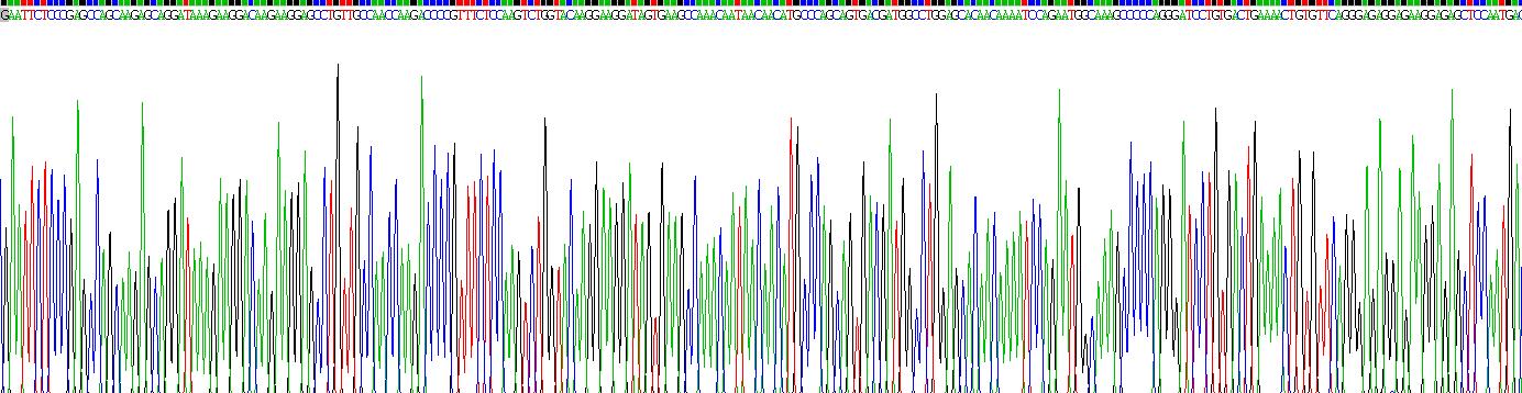 Gene Sequencing (extract)