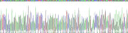 Gene Sequencing (extract)