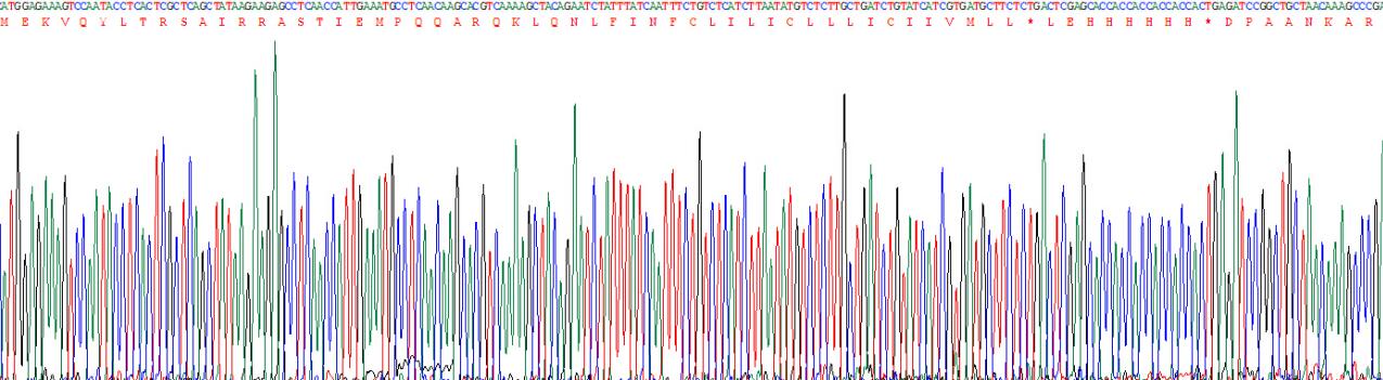 Gene Sequencing (extract)