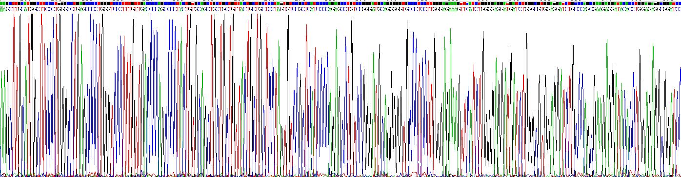 Gene Sequencing (extract)