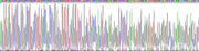 Gene Sequencing (extract)