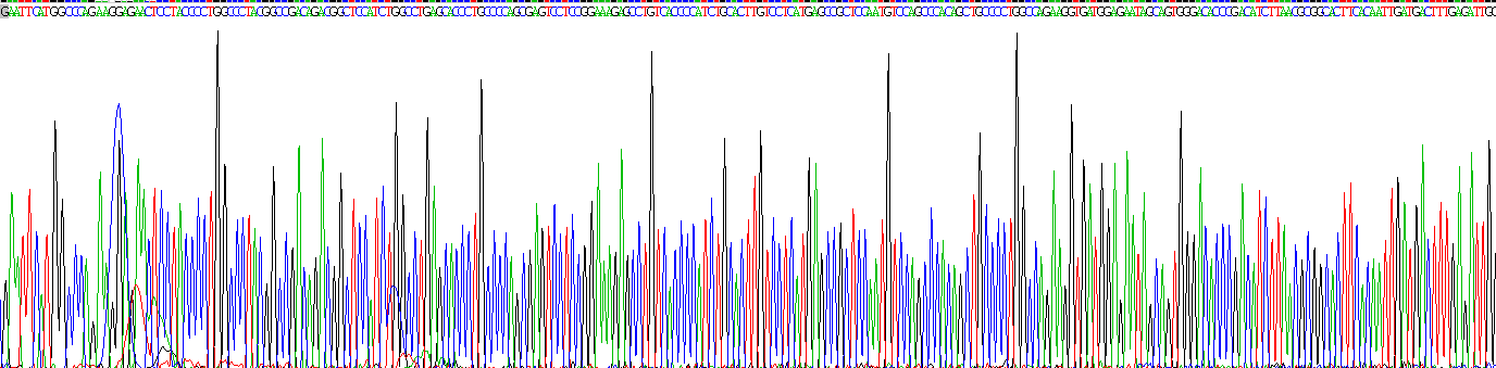 Gene Sequencing (extract)