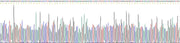 Gene Sequencing (extract)