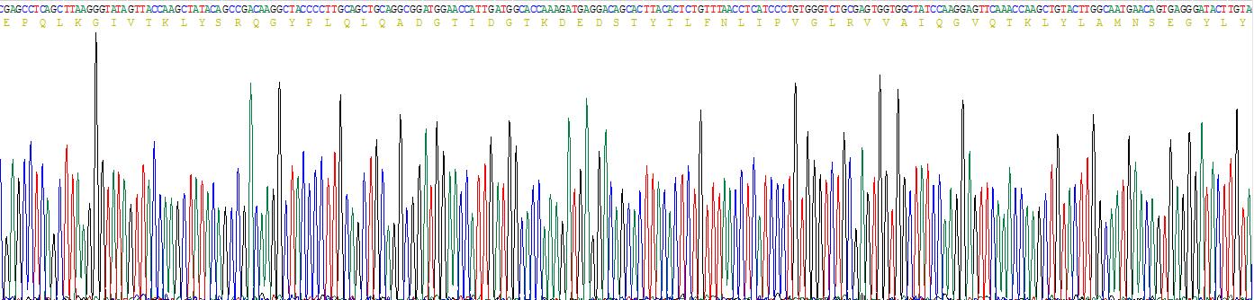 Gene Sequencing (extract)