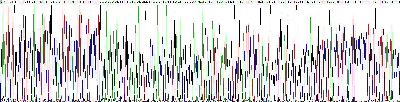 Gene Sequencing (extract)