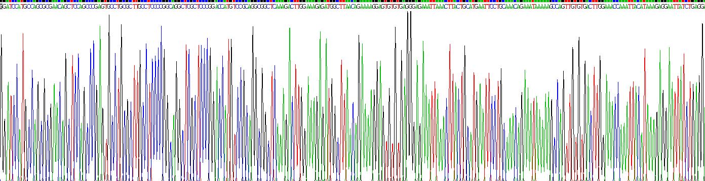 Gene Sequencing (extract)