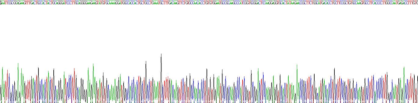 Gene Sequencing (extract)