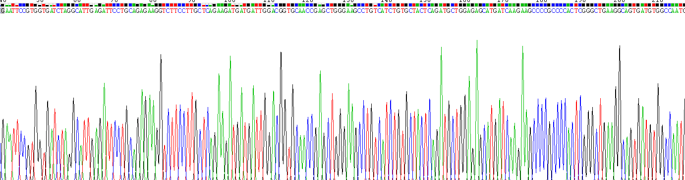 Gene Sequencing (extract)