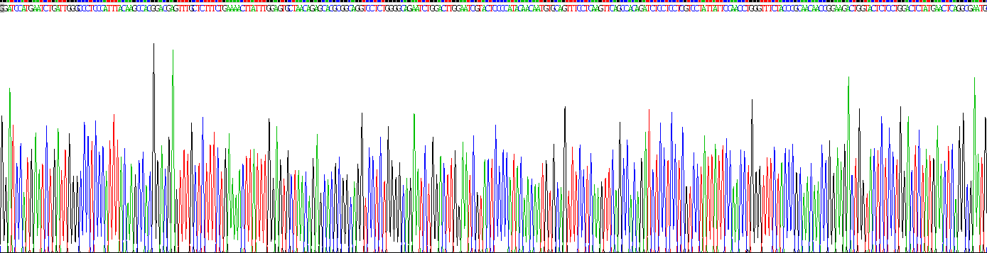 Gene Sequencing (extract)