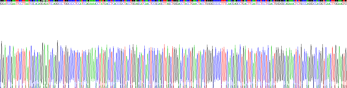 Gene Sequencing (extract)