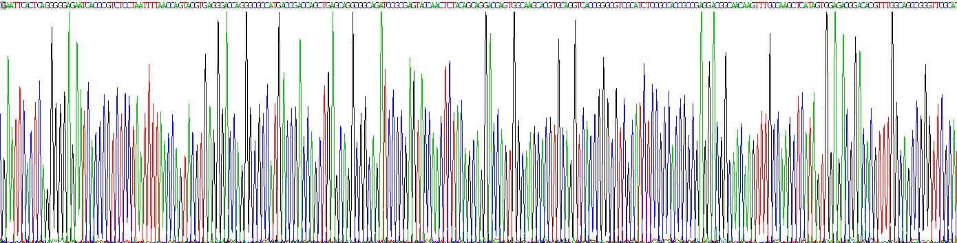 Gene Sequencing (extract)