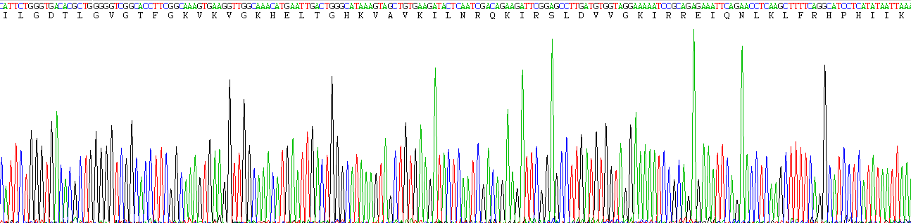 Gene Sequencing (extract)