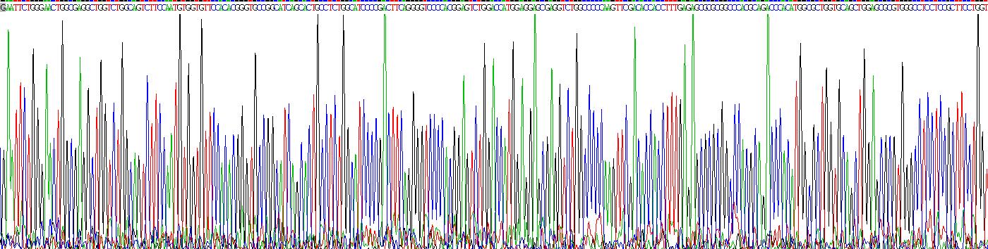 Gene Sequencing (extract)