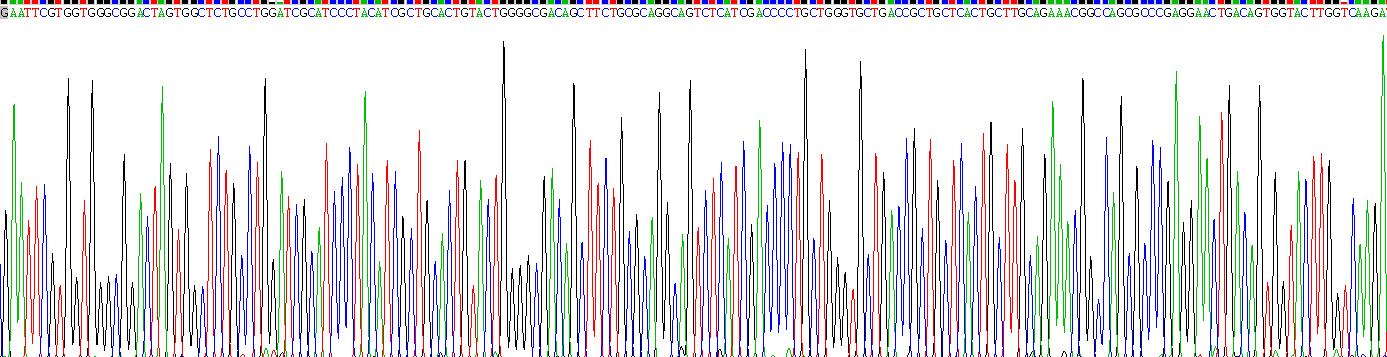 Gene Sequencing (extract)