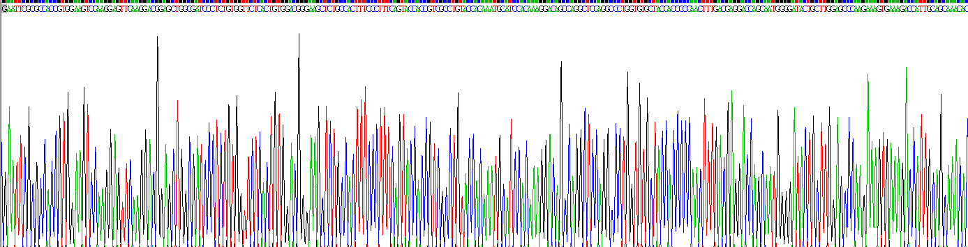 Gene Sequencing (extract)