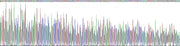 Gene Sequencing (extract)