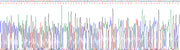 Gene Sequencing (extract)