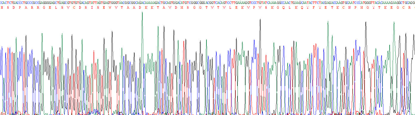 Gene Sequencing (extract)