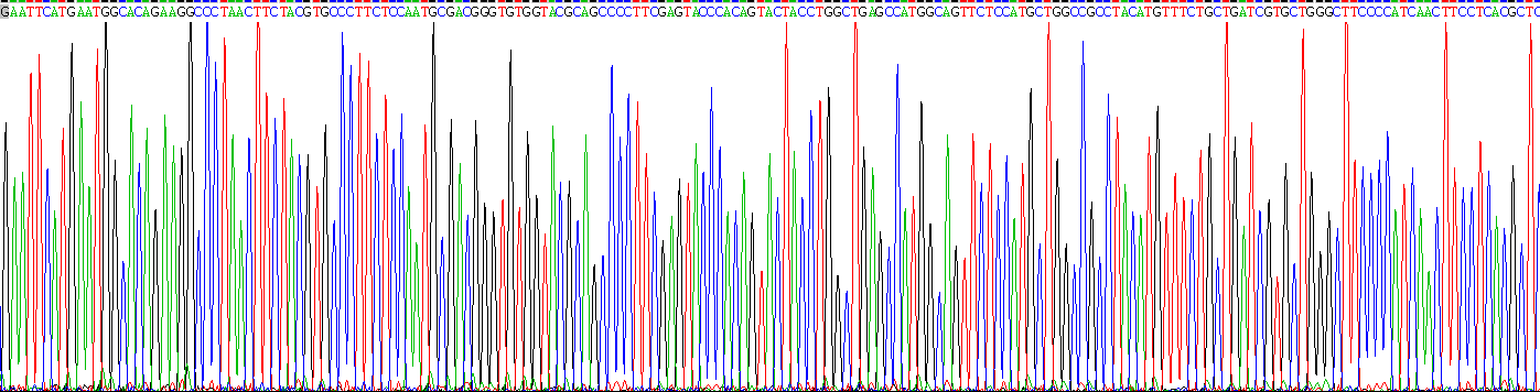 Gene Sequencing (extract)