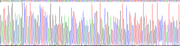 Gene Sequencing (extract)