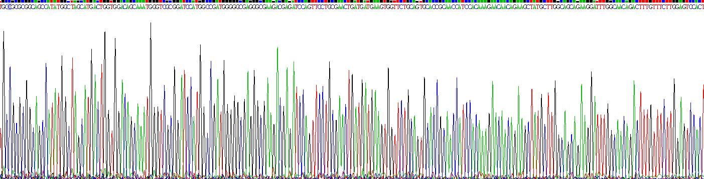 Gene Sequencing (extract)