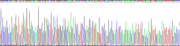 Gene Sequencing (extract)