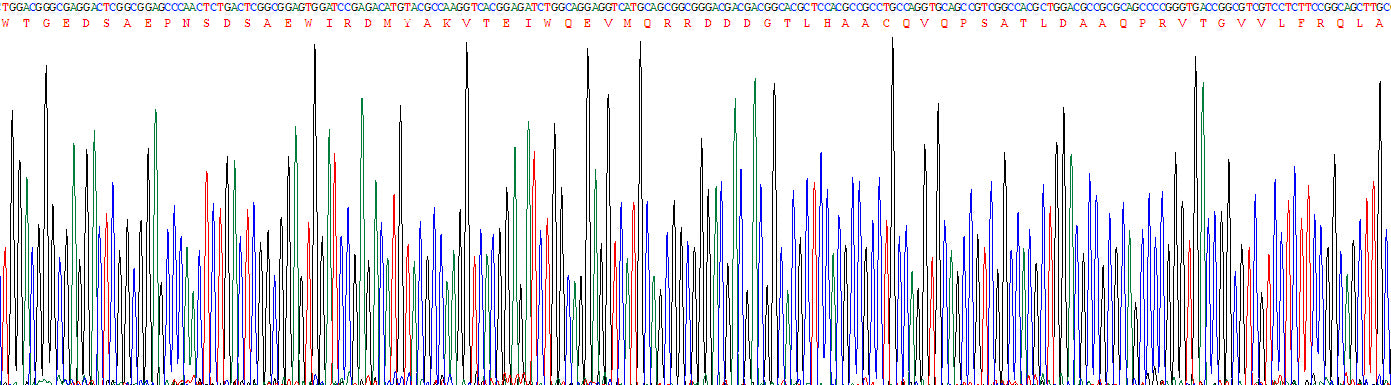 Gene Sequencing (extract)