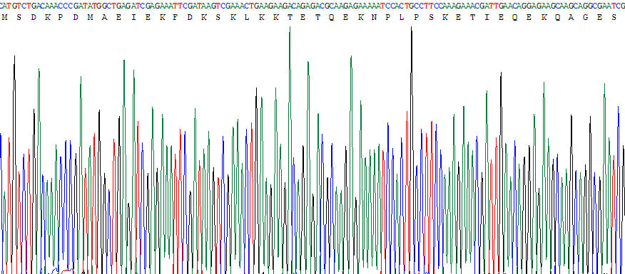 Gene Sequencing (extract)