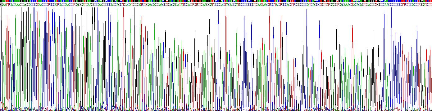 Gene Sequencing (extract)