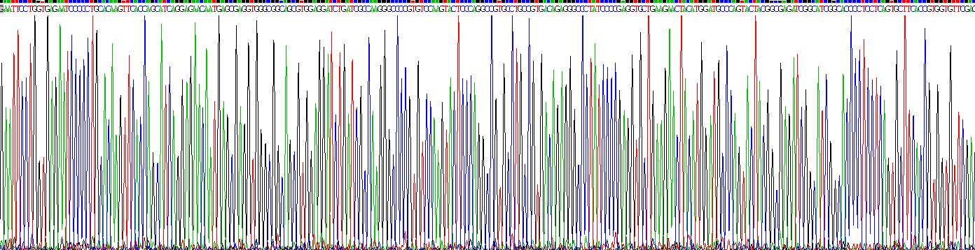 Gene Sequencing (extract)