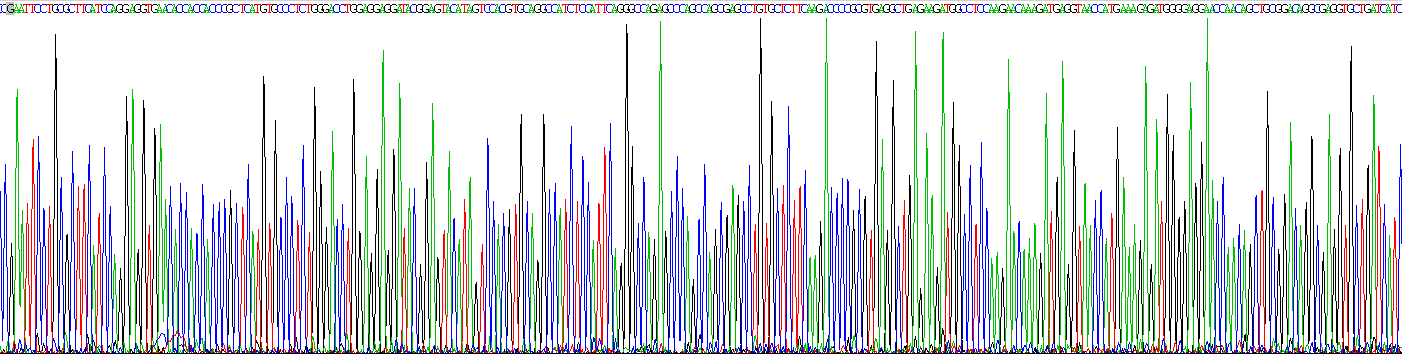 Gene Sequencing (extract)